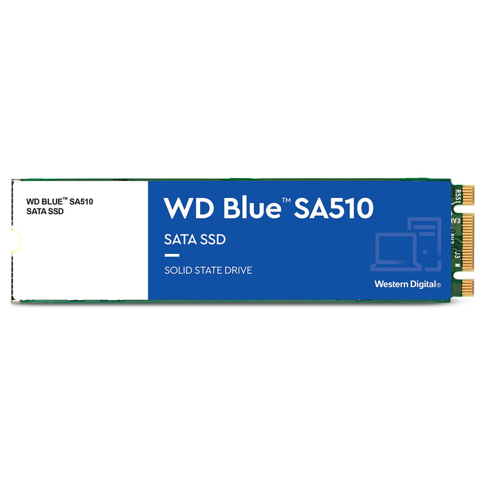 WD Blue SA510 WDS100T3B0B-00AXS0 - SSD - 1 TB - internal - M.2 2280 - SATA 6Gb/s