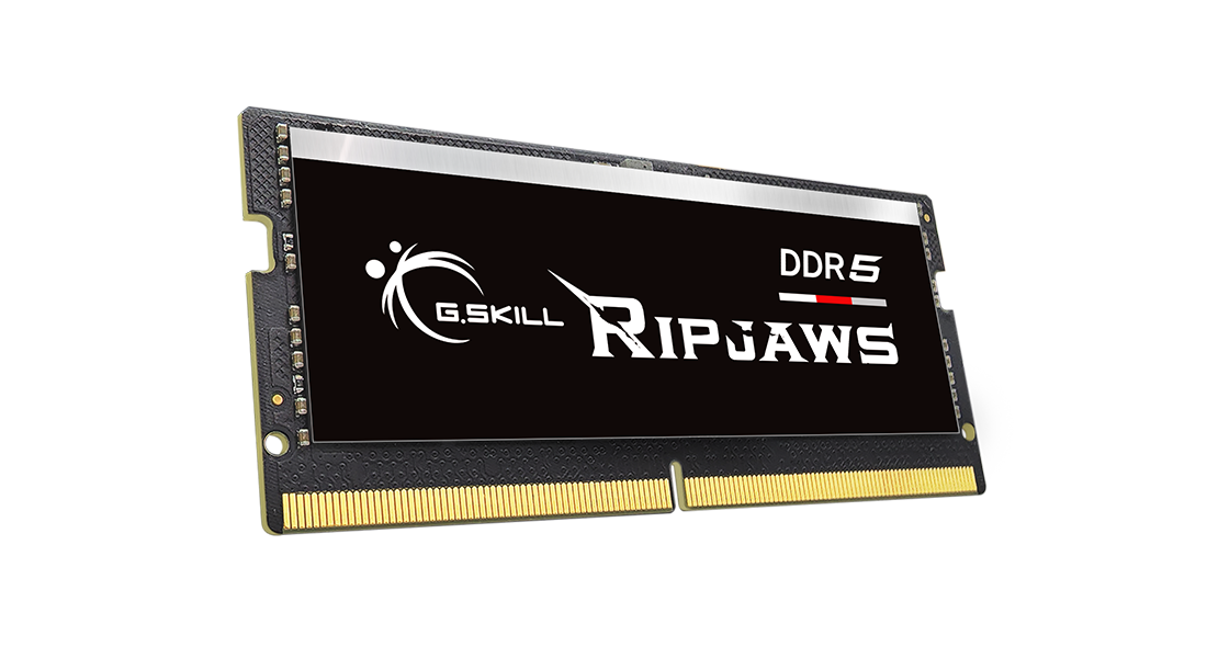 G.Skill Ripjaws F5-4800S3434A16GX1-RS memory module 16 GB 1 x 16 GB DDR5 4800 MHz