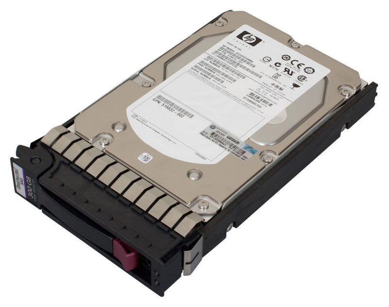 300GB 3.5" 15000rpm DP SAS,