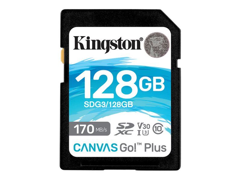 128GB SDXC CANVAS GO PLUS 170R