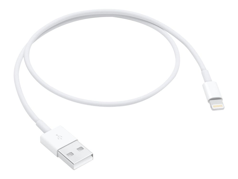 Apple Lightning to USB Cable (0.5 m)