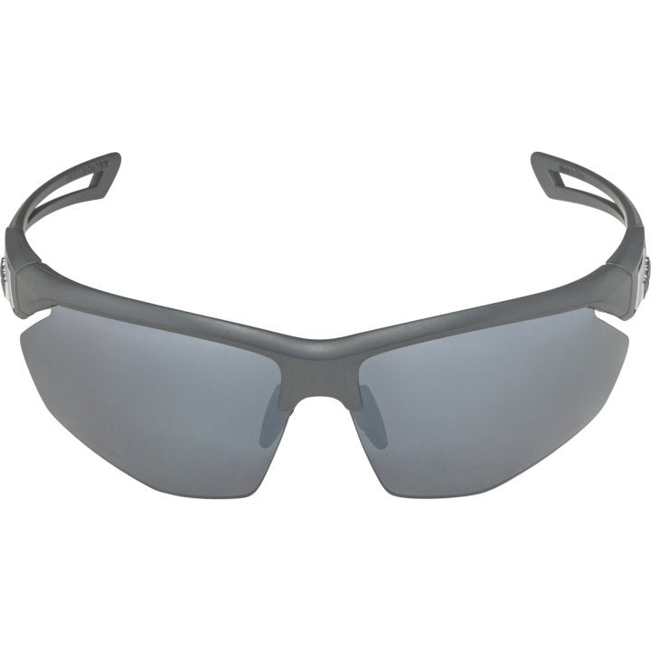 Lunettes de soleil Alpina Nylos HR cat. 3 Gris