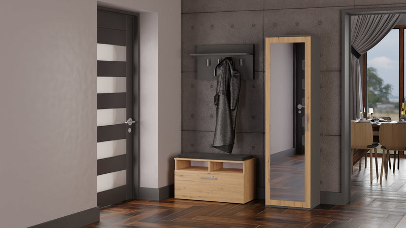 Topeshop DUO SZAFA ANT/ART KP bedroom wardrobe/closet 2 shelves 1 door(s)