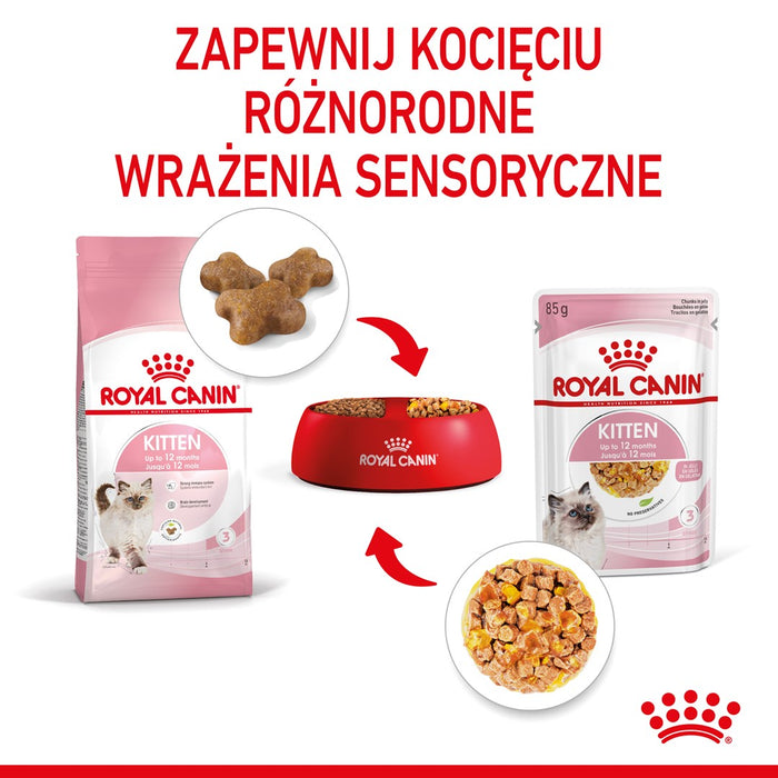 Royal Canin FHN Kitten Instinctive in jelly - wet food for kittens - 12x85g