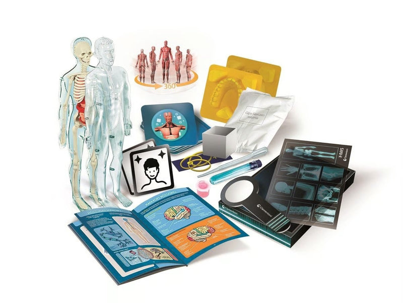 Clementoni Set – Super Anatomy