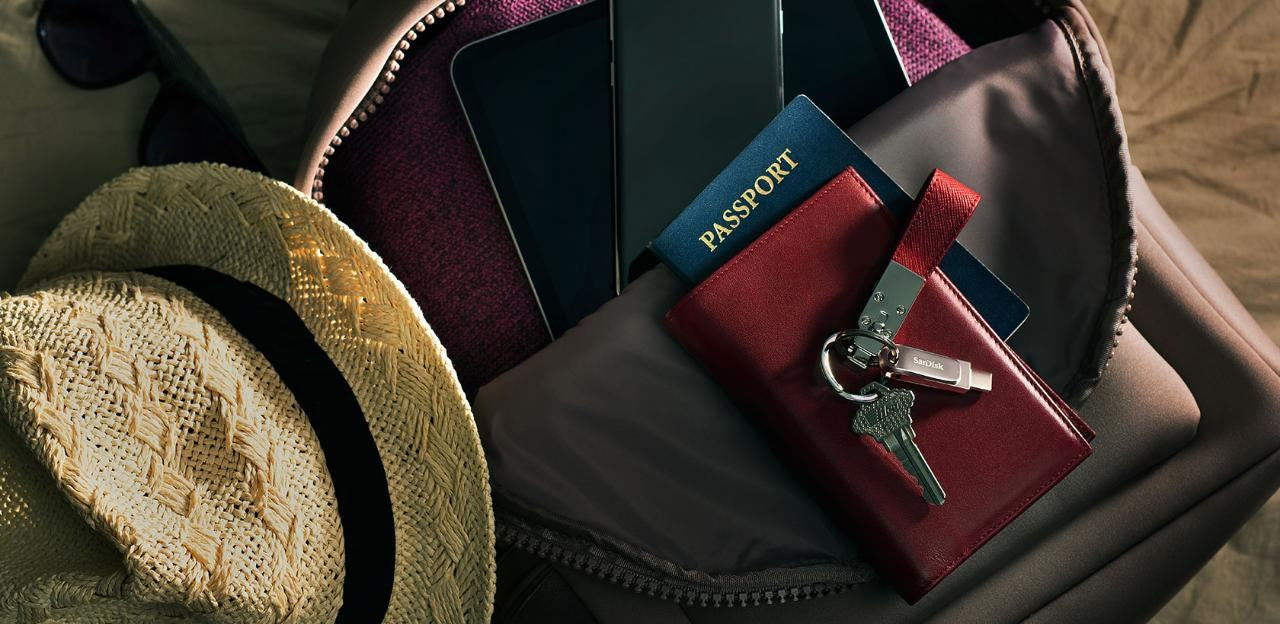 SanDisk Ultra Dual Drive Luxe - USB flash drive - 64 GB - USB 3.2 Gen 1 / USB-C