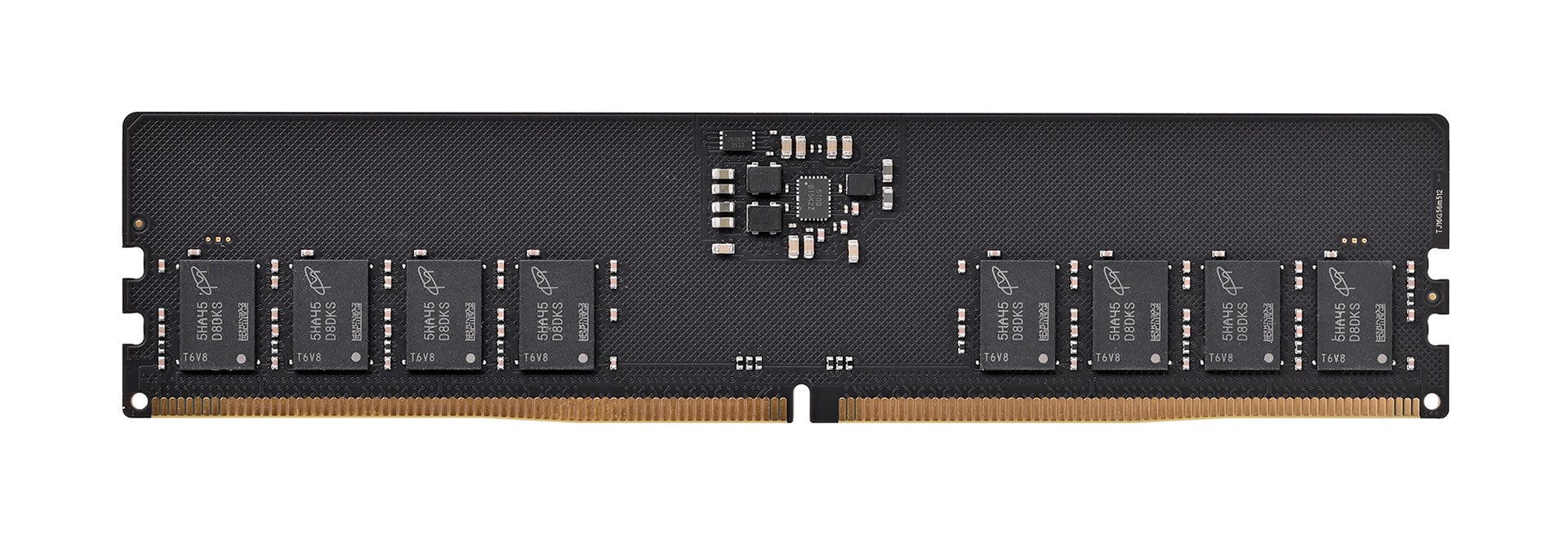 PNY Performance DDR5 5600MHz 16G memory module 16 GB 1 x 16 GB 288-pin DIMM