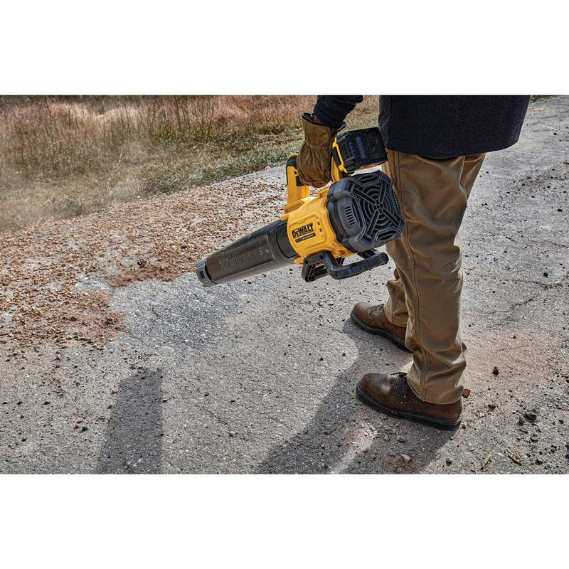 Souffleur de feuilles DeWALT DCMBL562N-XJ