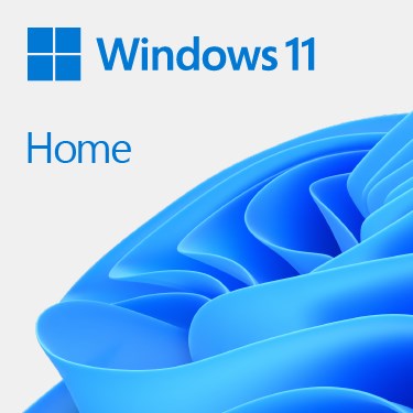 OEM WIN 11 HOME 64BIT 1PK DSP