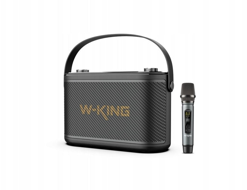 W-KING H10s Wireless Bluetooth Speaker – Black