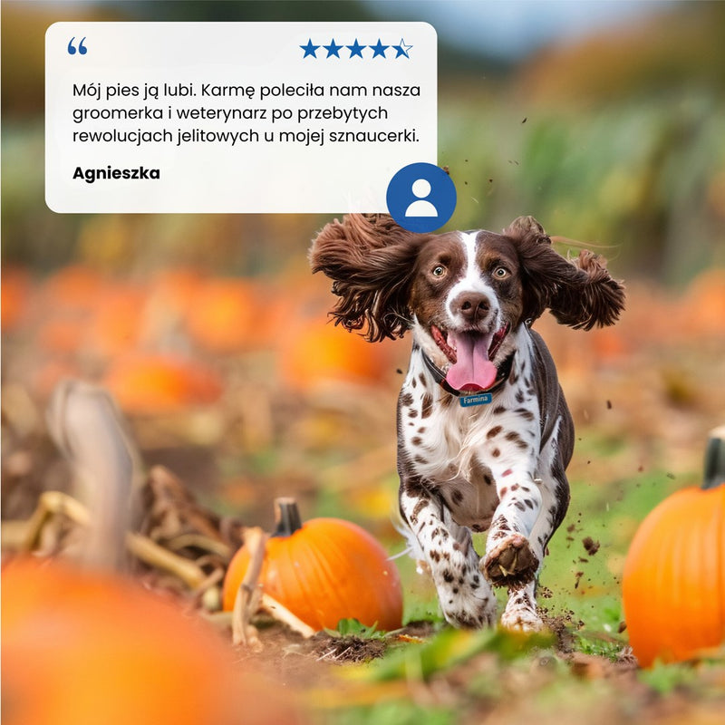 FARMINA N&D GF PUMPKIN HUND LAMM&HEIDELBEERE ADULT MINI 7kg