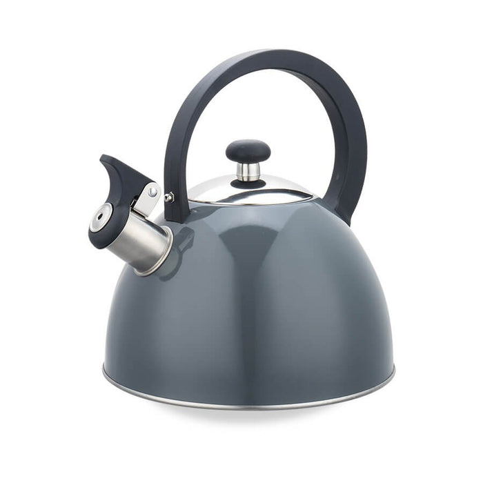 2.5L kettle MR-1302-GREY MAESTRO