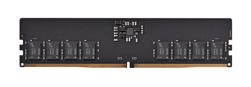 PNY Performance DDR5 5600MHz 16G memory module 16 GB 1 x 16 GB 288-pin DIMM