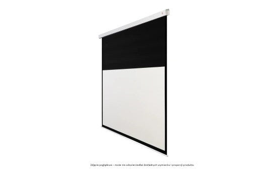 Avtek Business Electric Screen 300P
