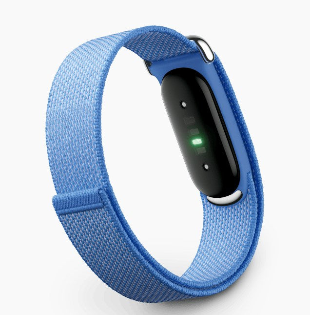 Google Fitbit Air, Lavender - activity tracker wristband, blue