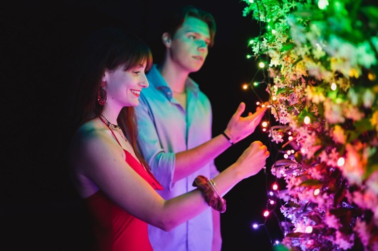 Twinkly Strings intelligent lighting string (multicolour + white edition)