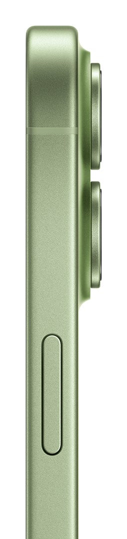 Apple iPhone 17 16 cm (6.3") Dual SIM iOS 26 5G USB Type-C 256 GB Sage