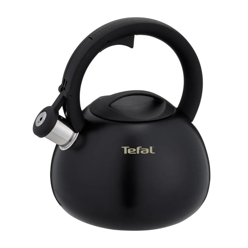 Non-Electric Kettle TEFAL N4180410, Black, Matte