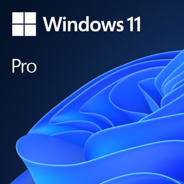 OEM WIN 11 PRO 64BIT 1PK DSP DV