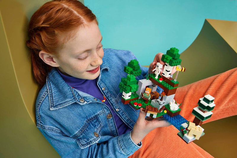 LEGO MINECRAFT 21593 First Night Adventure