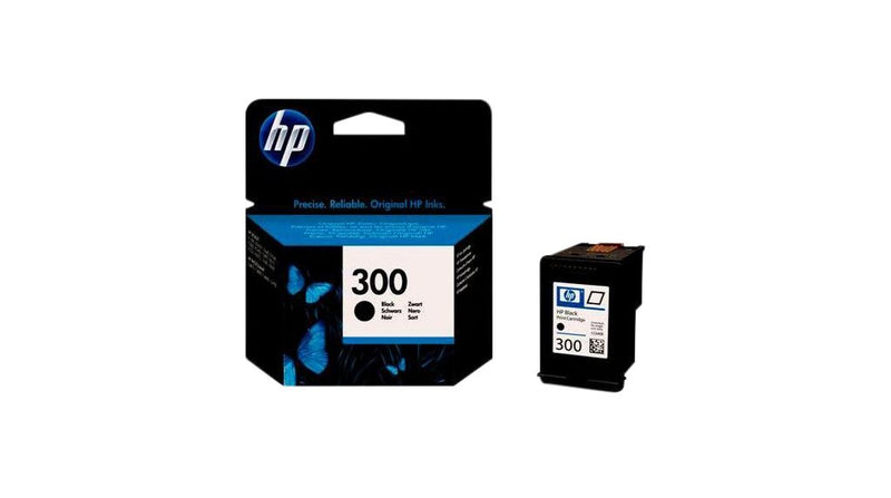 INK CARTRIDGE NO 300 BLACK