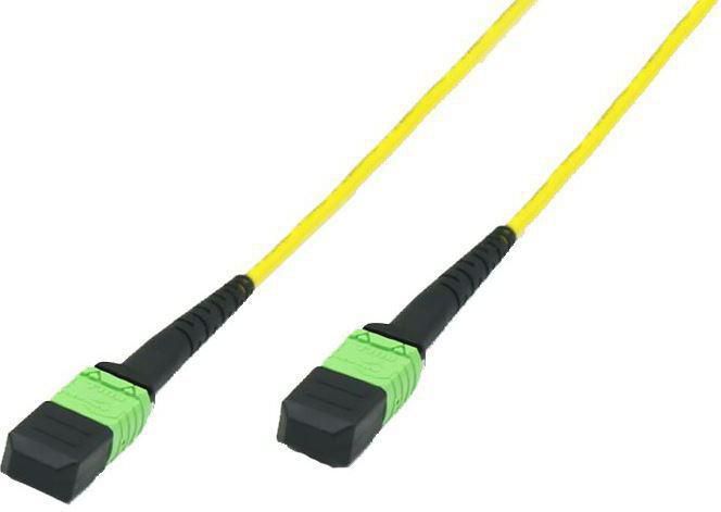 MTP F-F 3m OS2 Singlemode,