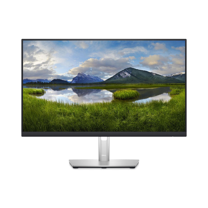 DELL P Series P2423DE, 60,5