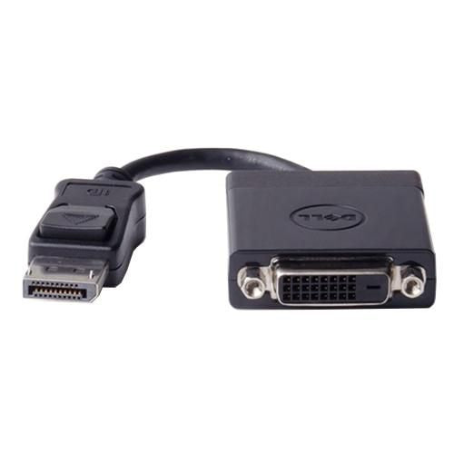 DisplayPort/DVI, DisplayPort,