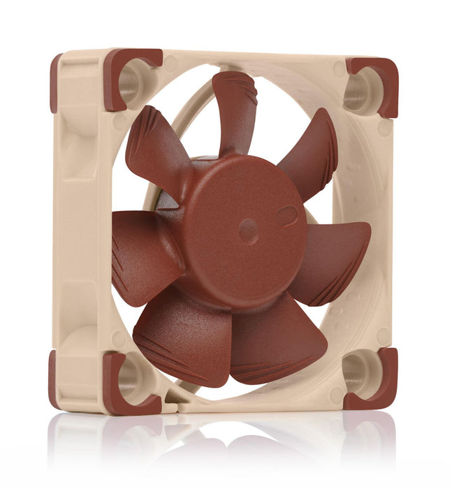 Fan 4 Cm Brown
