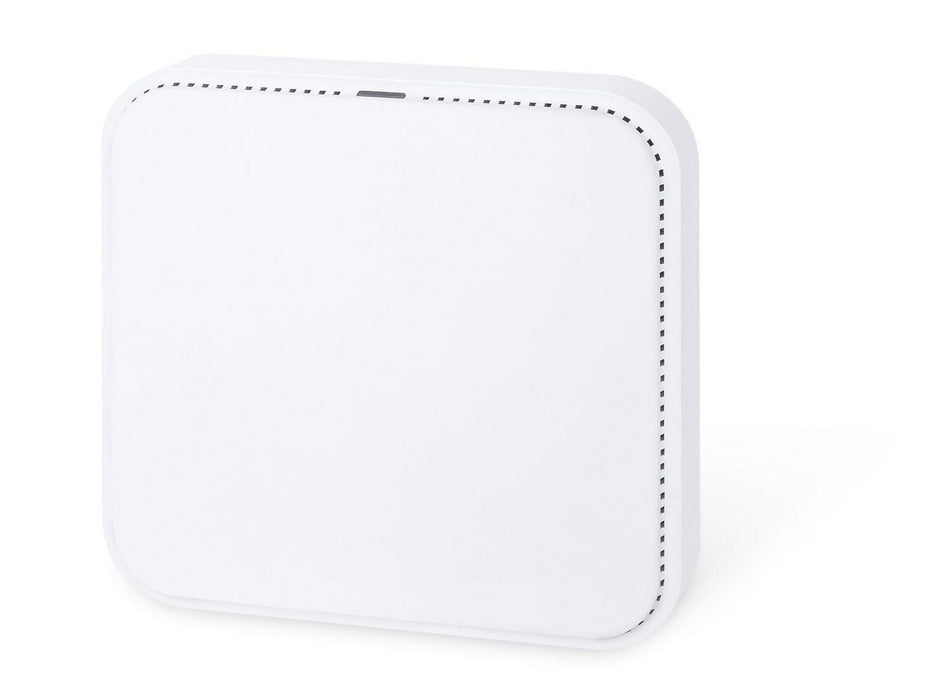 Dual Band Ceiling-mount