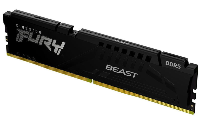 FURY Beast Black