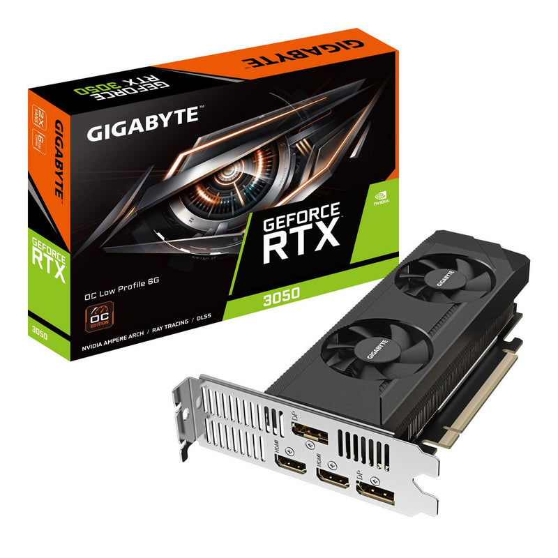 Profile 6G Nvidia 6 Gb Gddr6