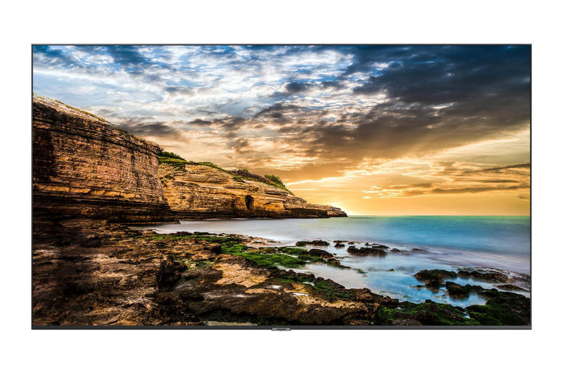 flat panel 165.1 cm (65") LED