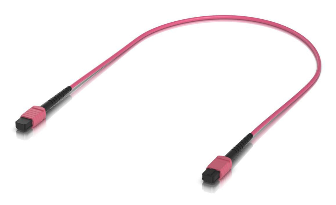 patch cable with MPO-12 Type
