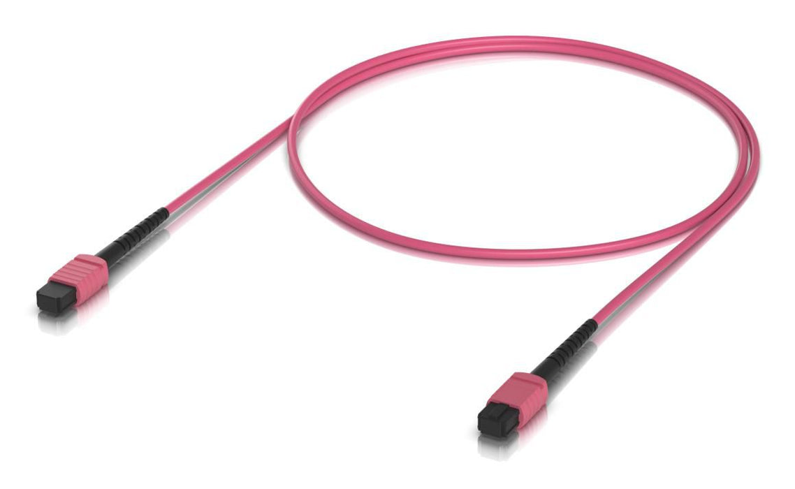 patch cable with MPO-12 Type