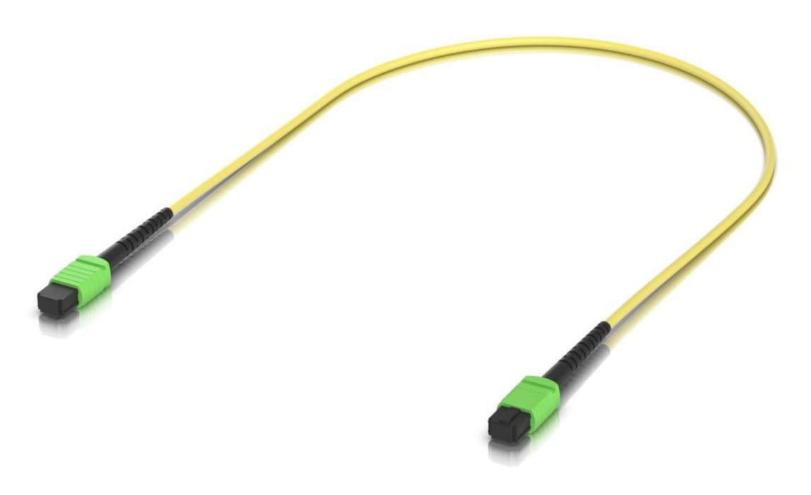 patch cable with MPO-12 Type