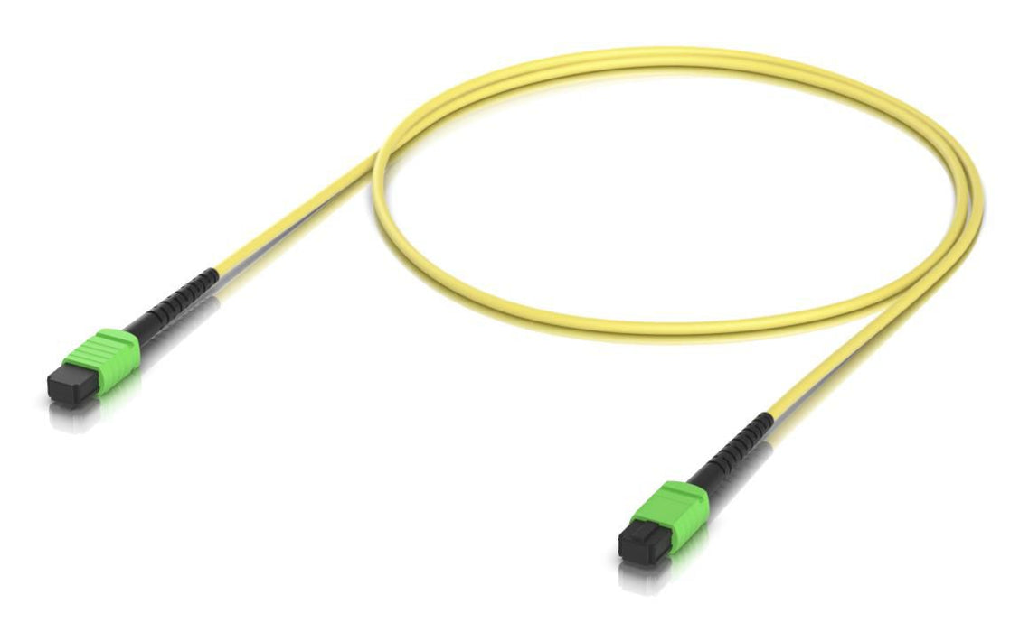 patch cable with MPO-12 Type