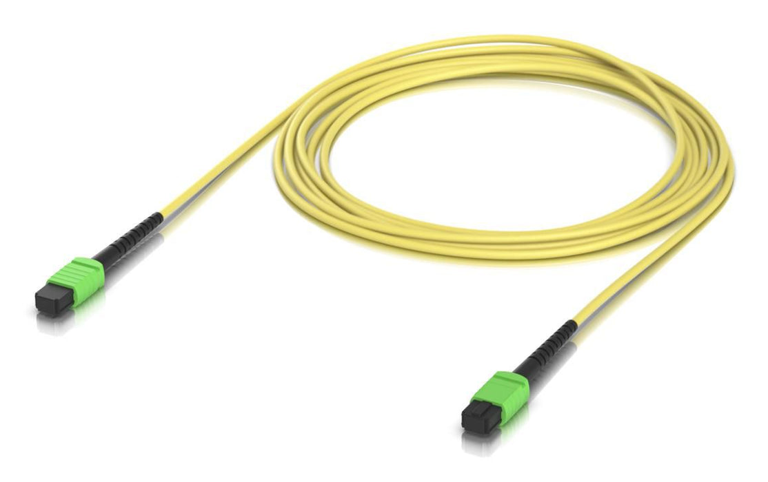 patch cable with MPO-12 Type