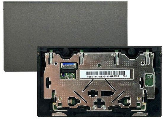 Iron Gray, Transimage