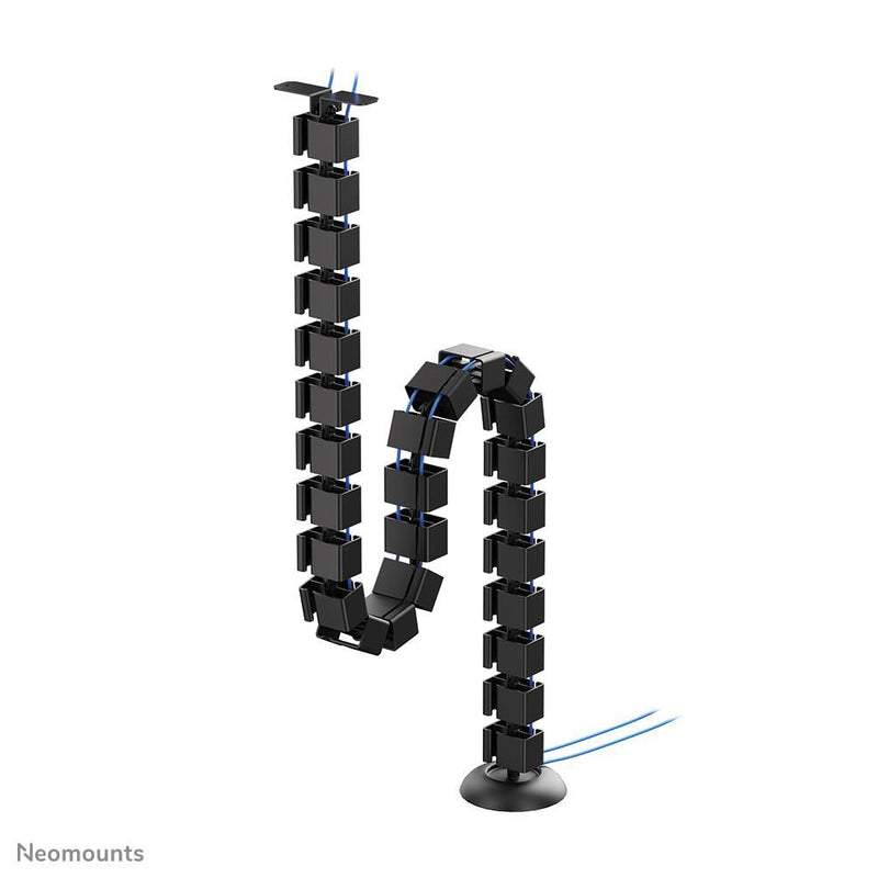 Modular Vertebrae,