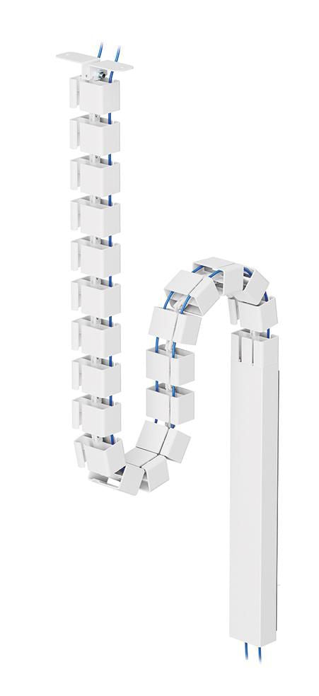 Modular Vertebrae,