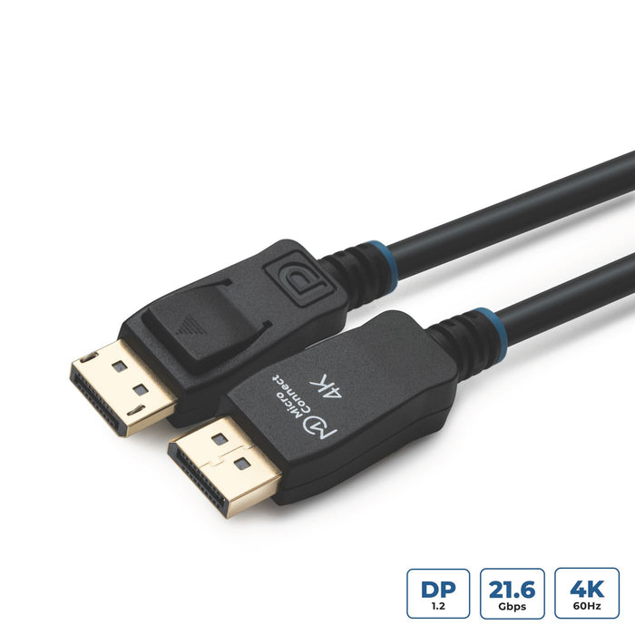 Displayport version 1.2,