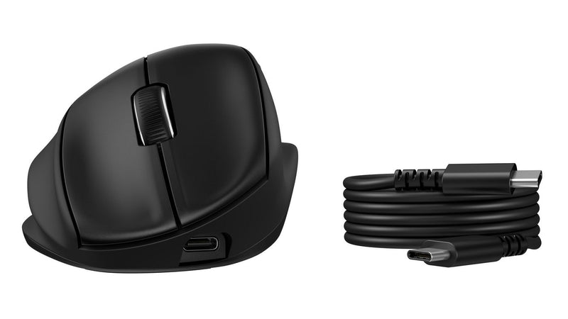 Ergonomic 725M Euro Mouse