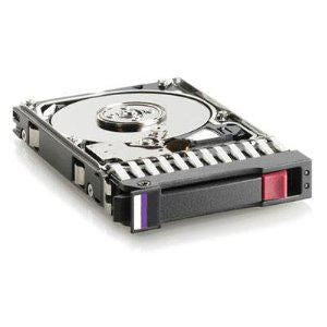 300GB 3.5" 15000 rpm DP SAS,