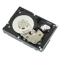 Seagate Muskie 2TB SAS
