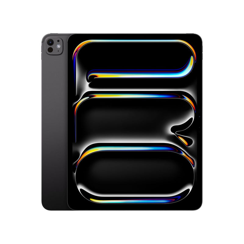 IPAD PRO 13 WIFI 256GB M14