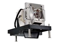 BTI Lamp for OPTOMA EH500 OEM: BL-FU310B DE.5811118436