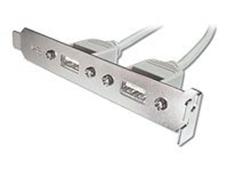 DIGITUS Slotblech 2xUSB/A -> IDC 2x5Pin Bu/Bu 0.25m Polybeutel